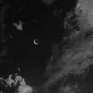 Meet your Posher, Maddy